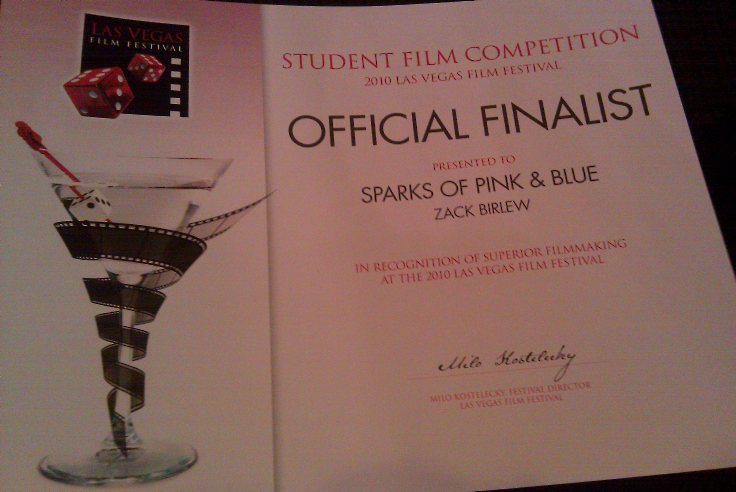 Las Vegas 2010 Film Award