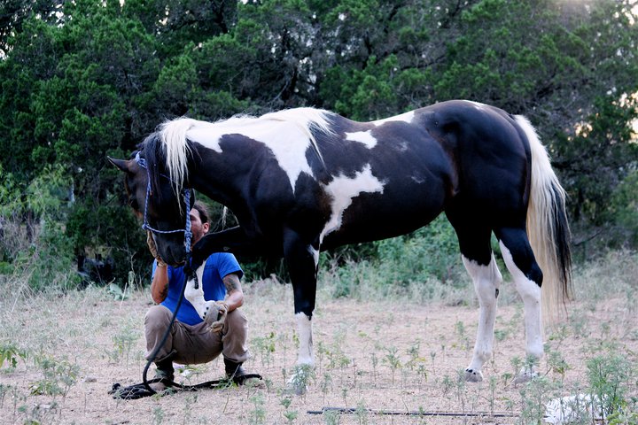 Louis moncivias Training his Stallion 