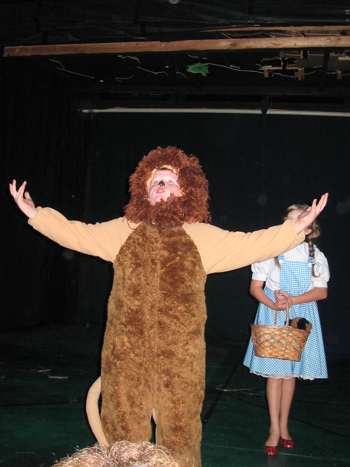 The Cowardly Lion Wizard of Oz, 2008