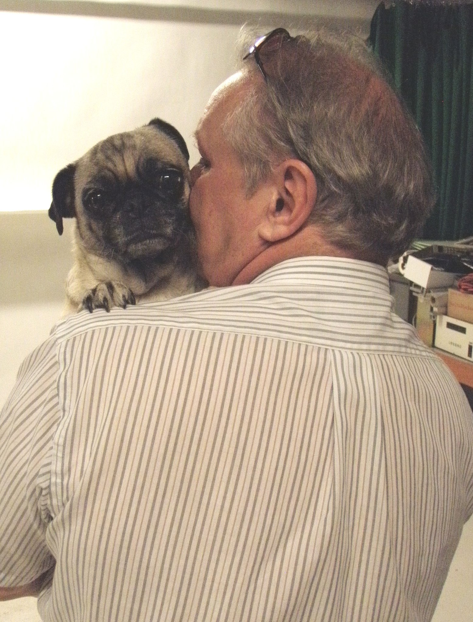 Chuee the Pug and her Dad