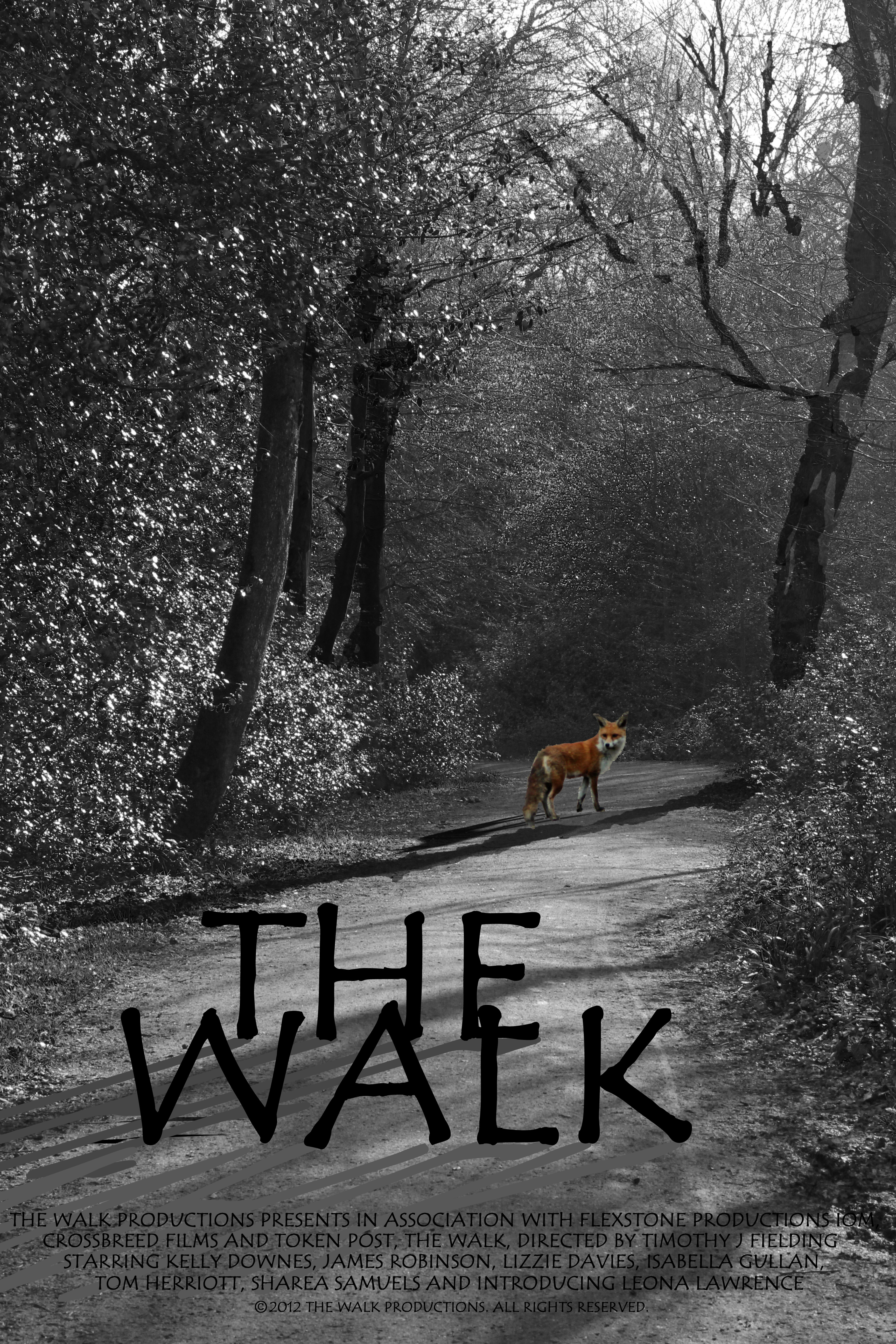 The Walk Film Poster - A Timothy Fielding Film - Starring Kelly Downes
