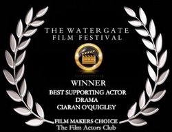 Ciaran O'Quigley - Winner - Best Supporting Actor 2015 - Watergate Film Festival (Film Goers Choice)