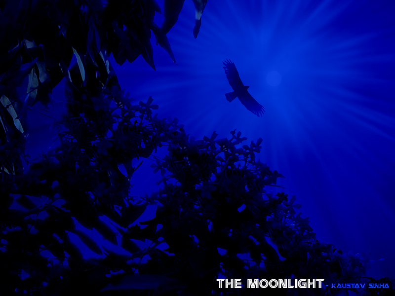 The Moonlight - My first ever personal digital matte painting created in May 2008 in the Adobe Photoshop, using a mouse.