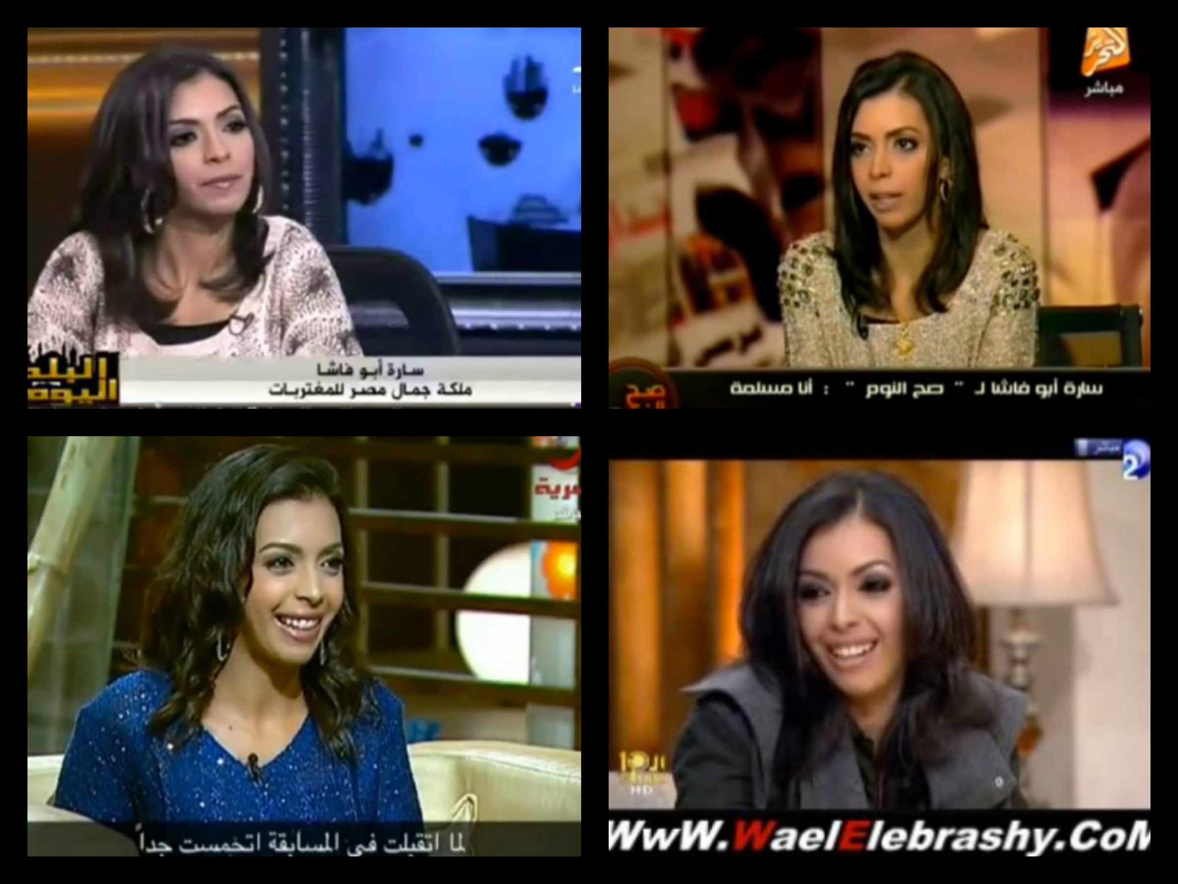 Stills from the multiple Egyptian talk shows I've appeared on