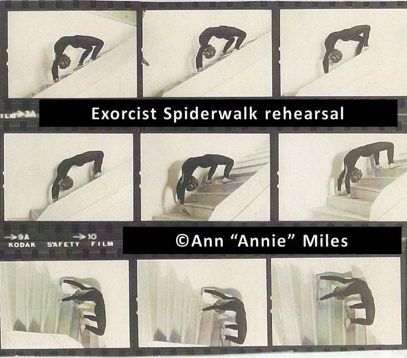 Ann Miles