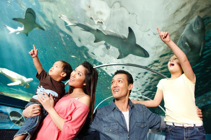 Sydney Aquarium billboard featuring Khanh.