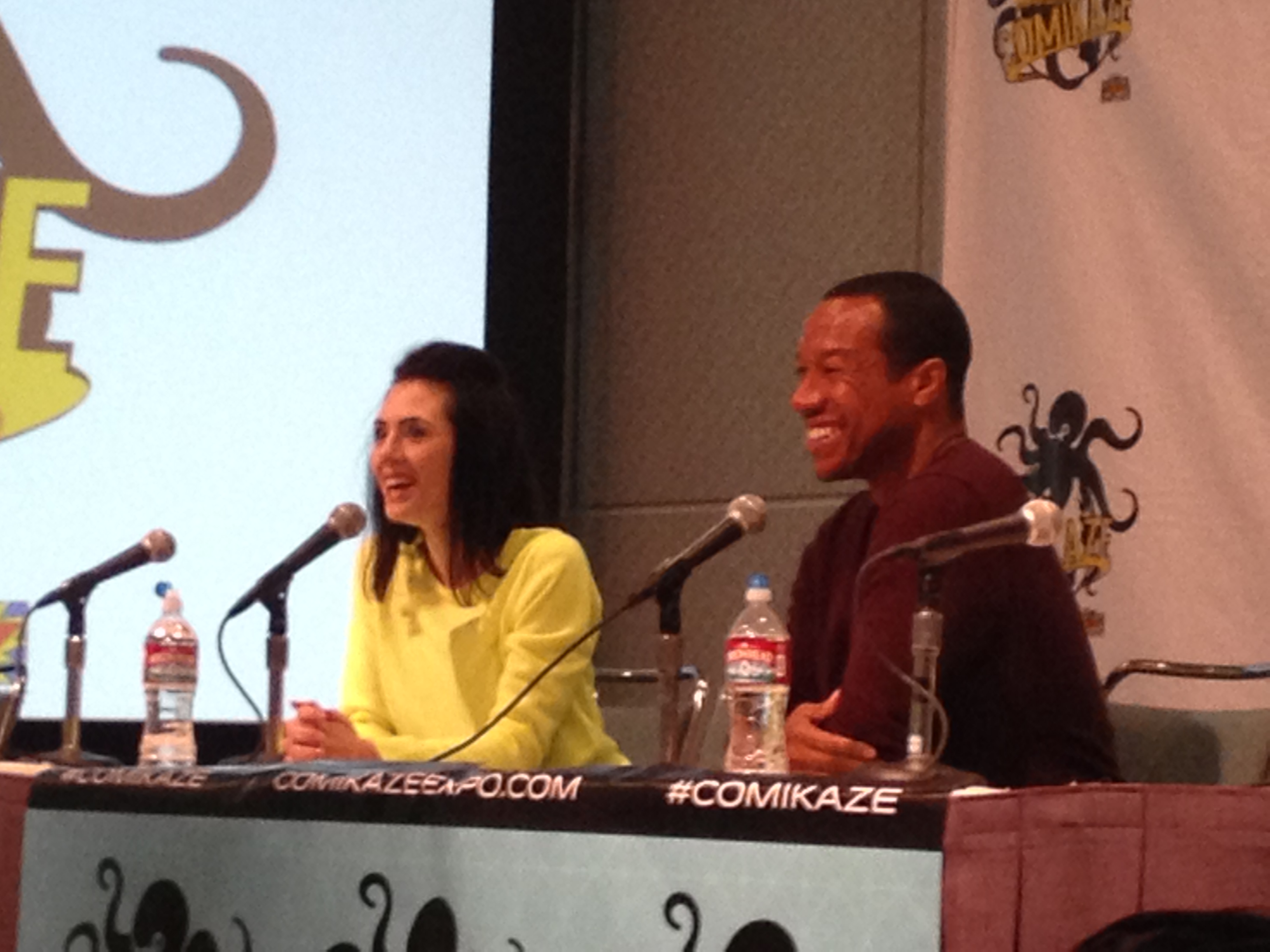 Star Trek: Renegades discussion panel with Rico E. Anderson and Adrienne Wilkinson at Stan Lee's Comikazee (2014)