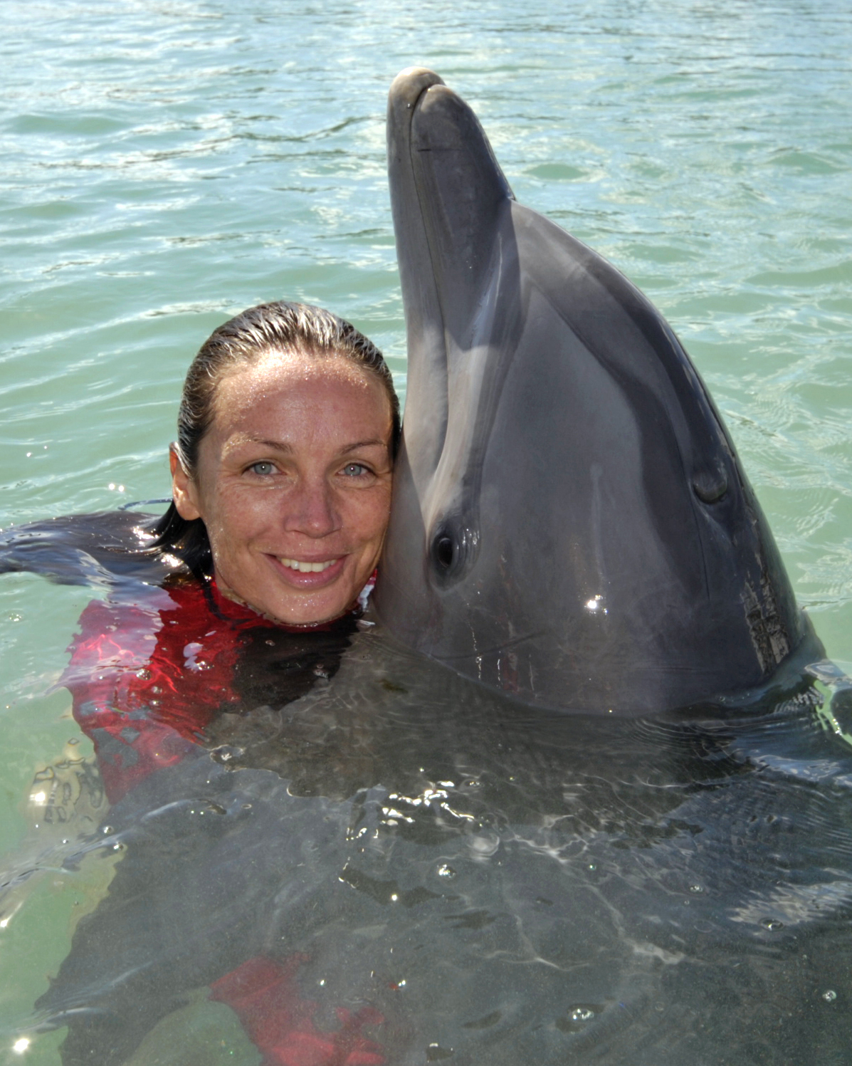 Bahamas dolphin training