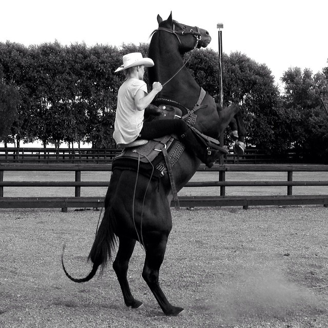 Behind the scenes - working with 'Arnie' of Equine Films for Legend of the Seeker.