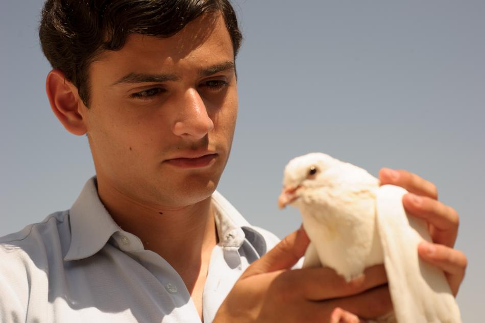 Dove Flyer