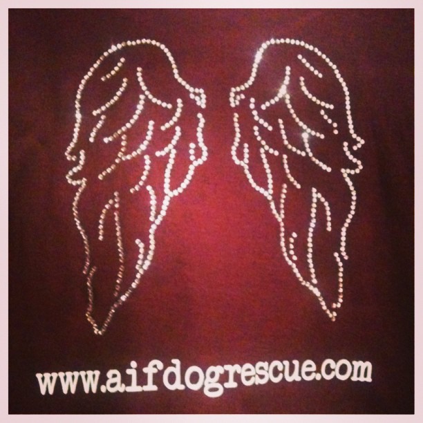 Angels in Fur Dog Rescue