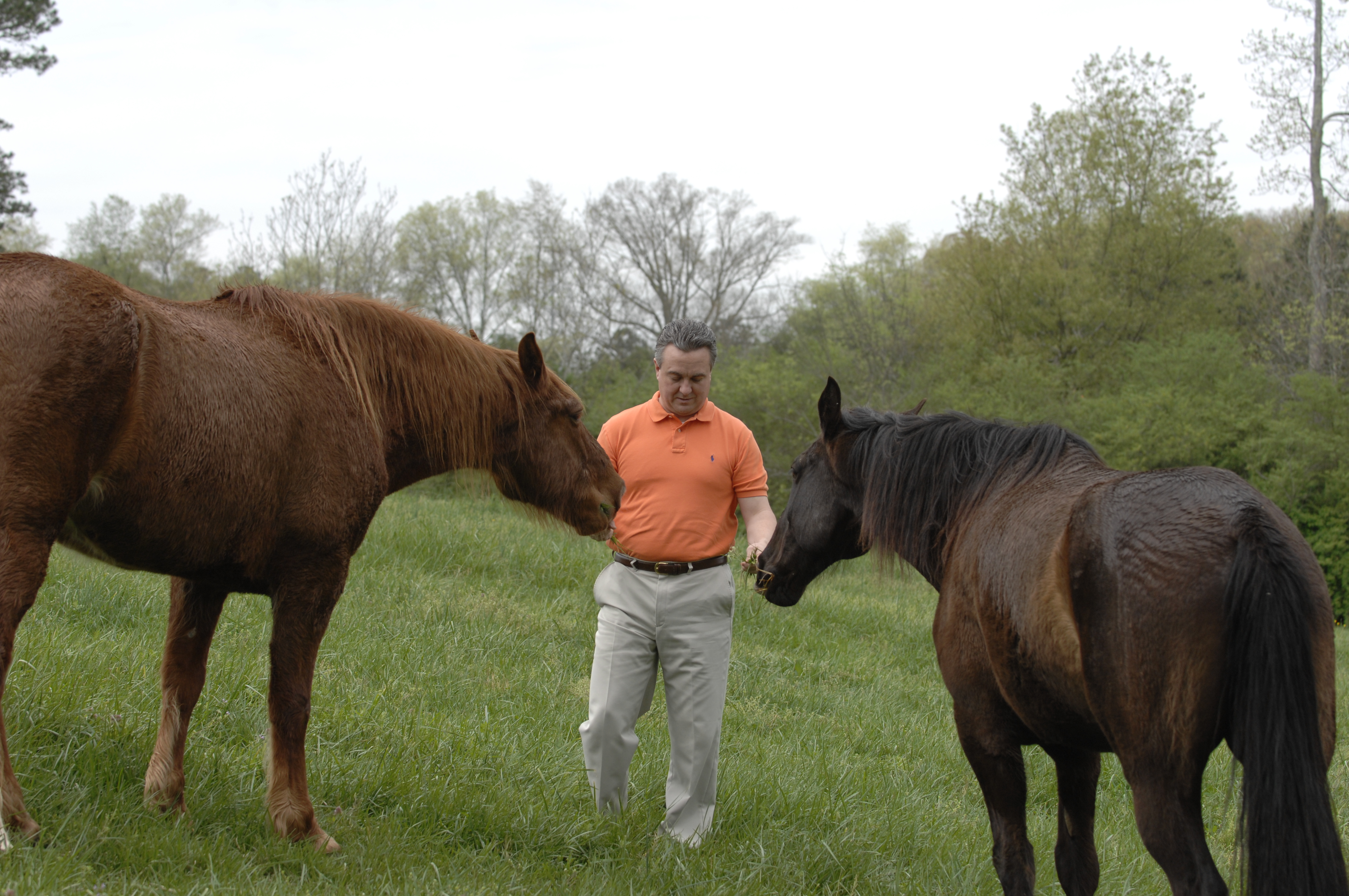 Tim Link with horses.