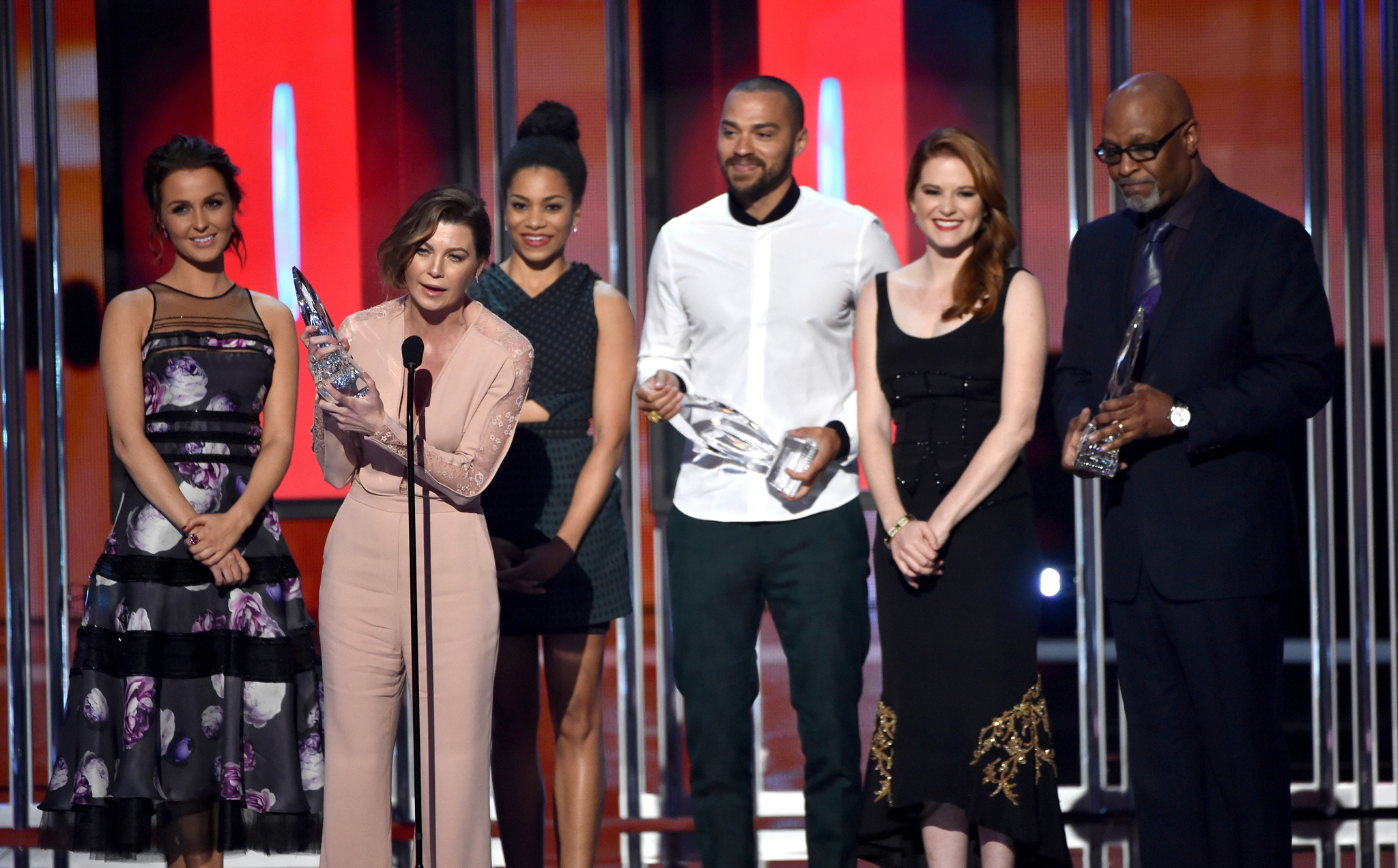 Sarah Drew, James Pickens Jr., Ellen Pompeo, Jesse Williams, Camilla Luddington and Kelly McCreary