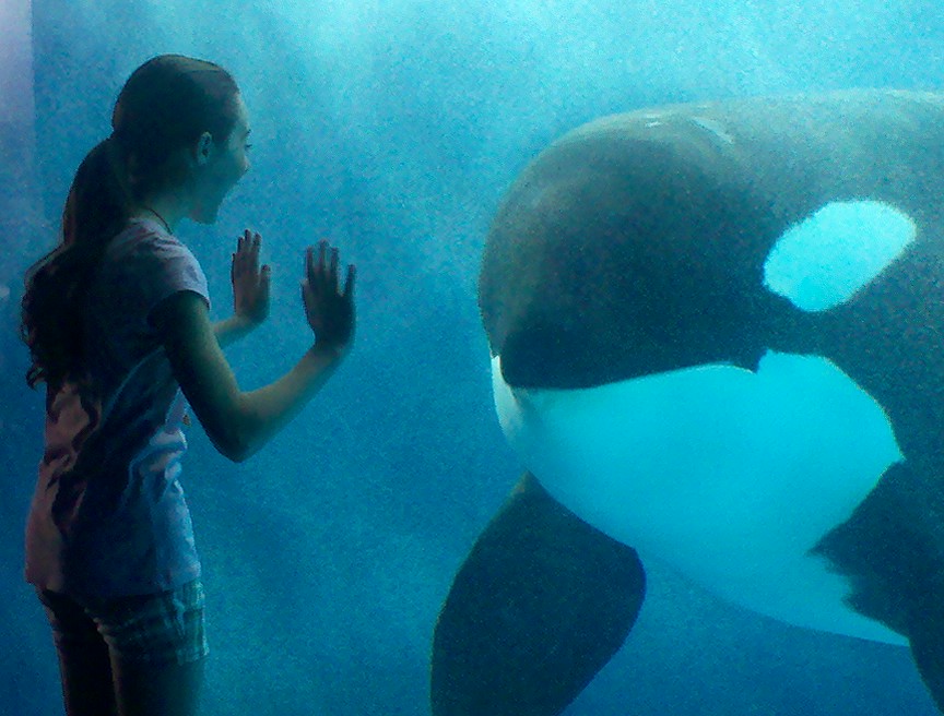 Ava Allan & Shamu