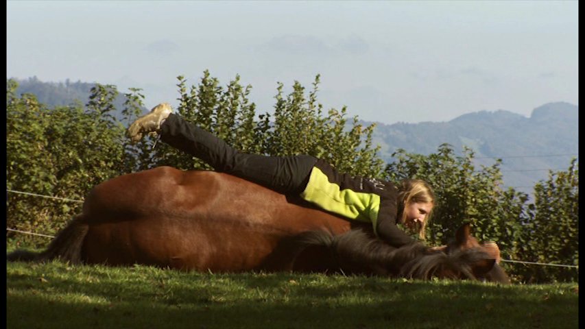 Documentary THE FREEDOM OF THE HEART: Great trust between Nadine Nicolet and Lotus, a Swiss French Mountain horse.