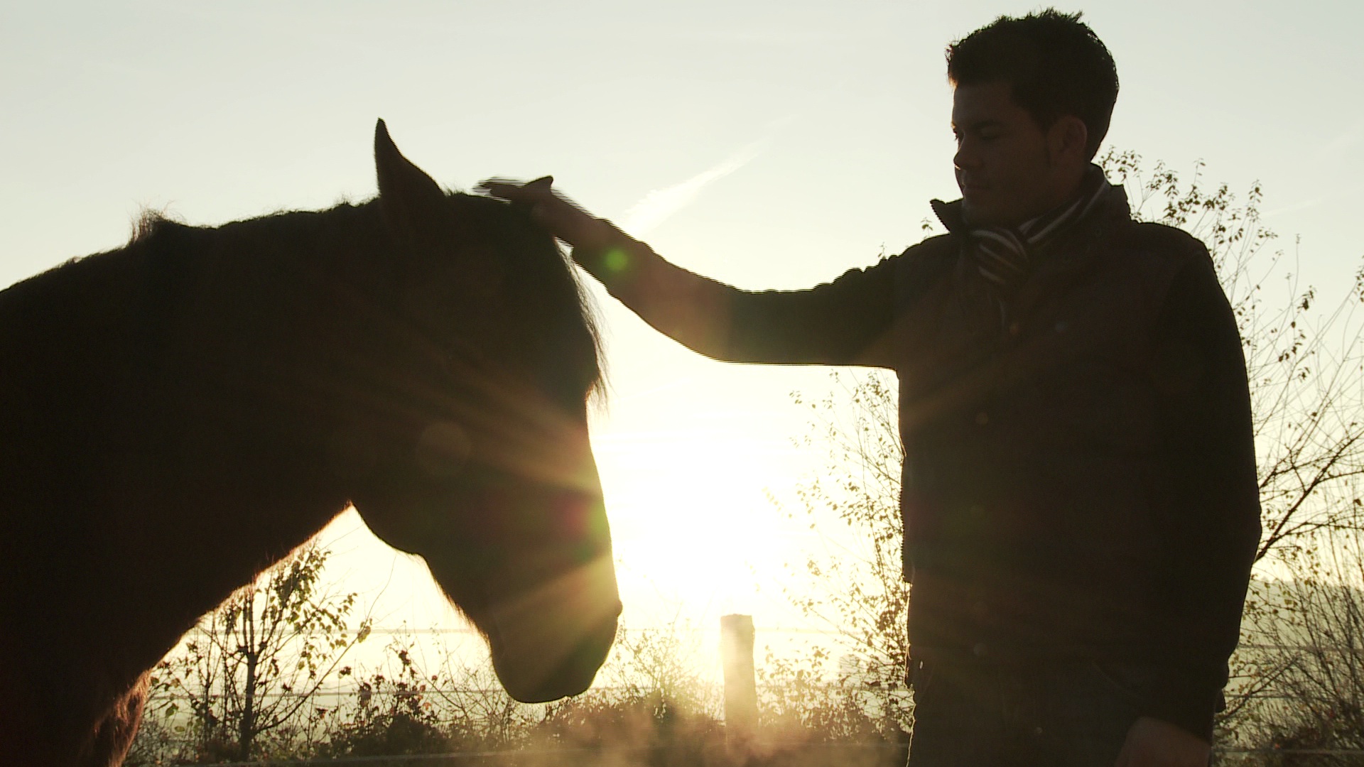 Documentary THE FREEDOM OF THE HEART. Sandro Hürzeler and Ronny the wonderful Swiss French Mountain Horse.