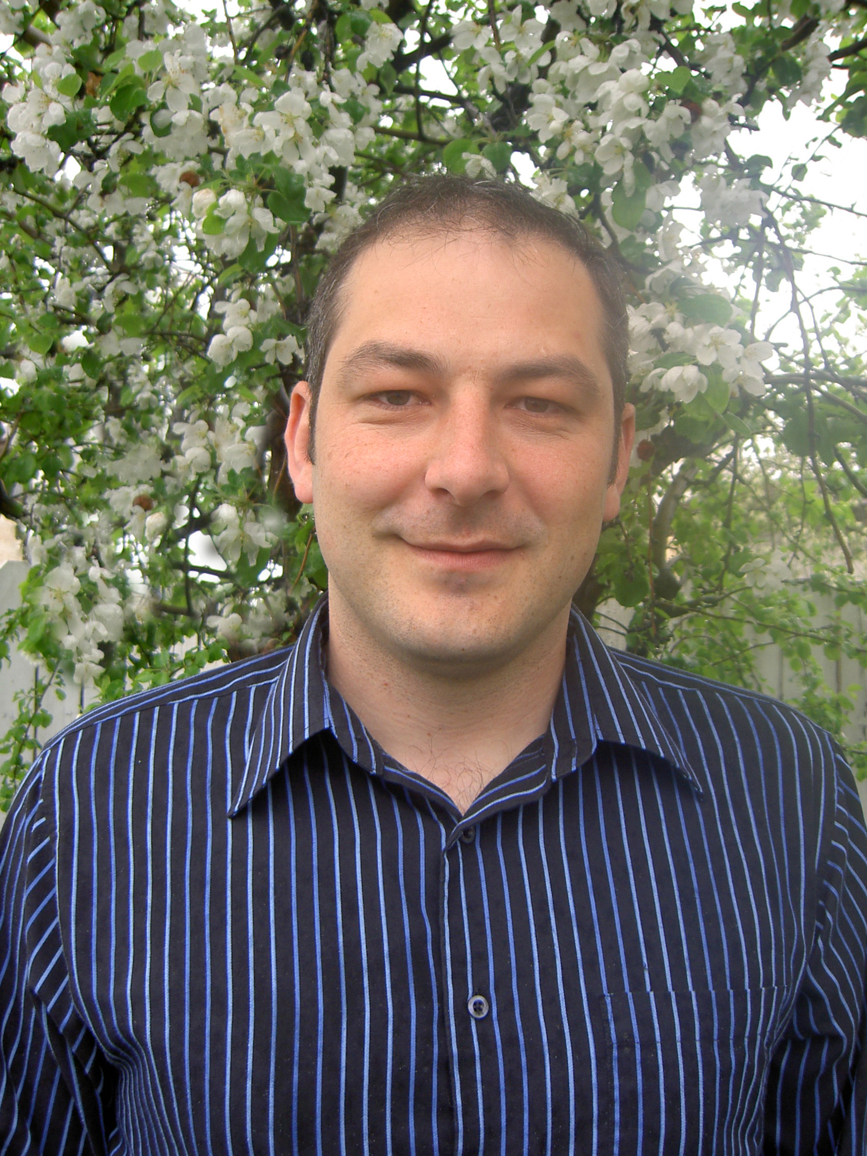 Sorin Mihailovici