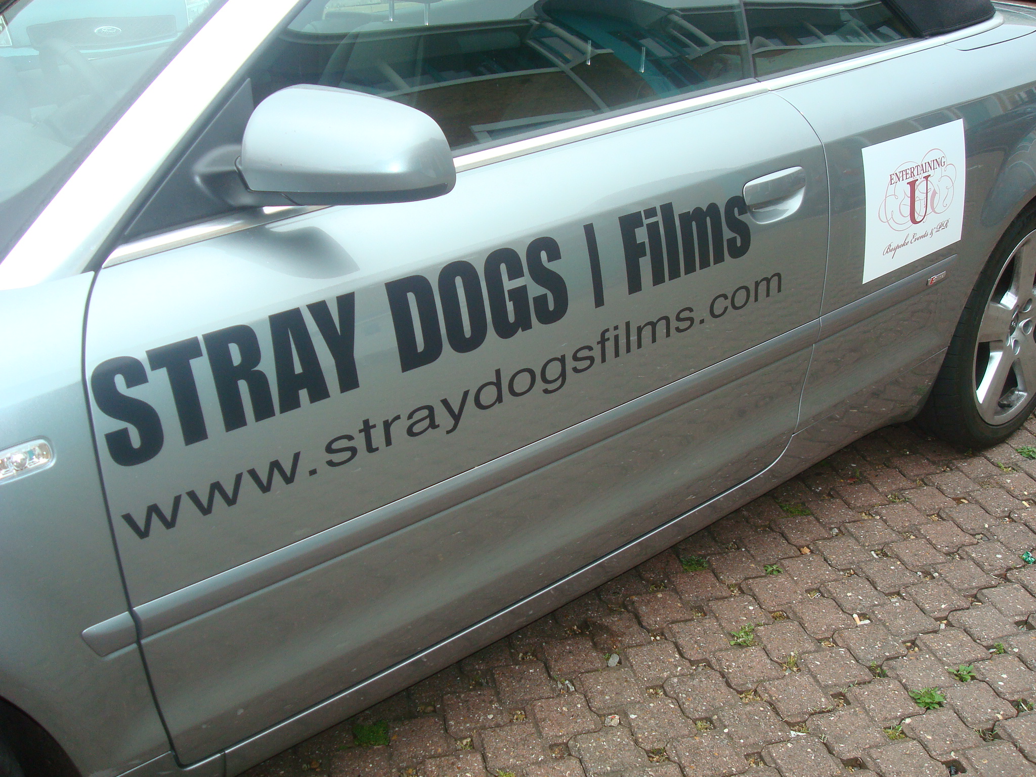 My Stray Dogs Car ready to go to Canned Film Festival