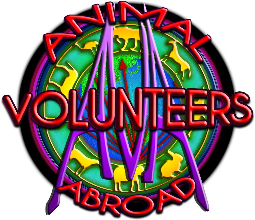 Adventure, action, intrigue, trauma, tears, tantrums, blood, sweat, mud, tears and fears like you've never seen them before-AVA-Animal Volunteers Abroad.