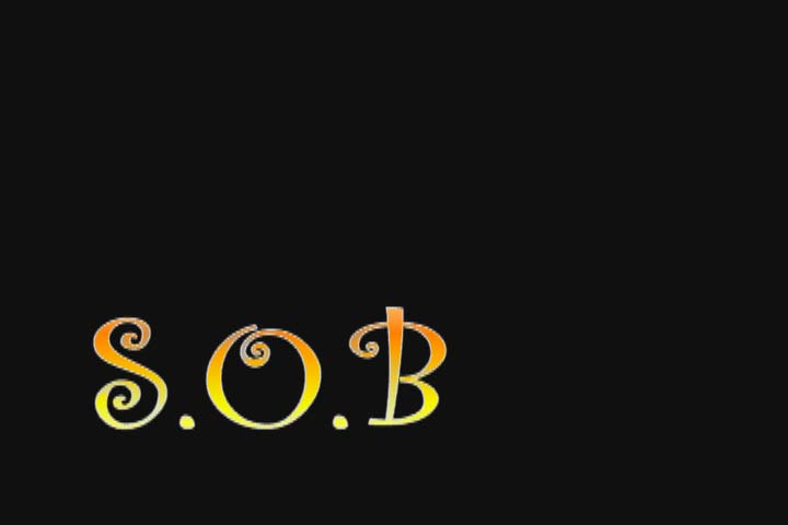 Logo of the S.O.B Television Show