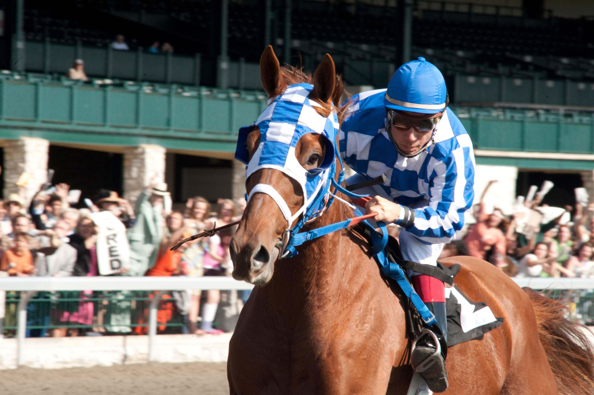 Still of Otto Thorwarth in Secretariat (2010)