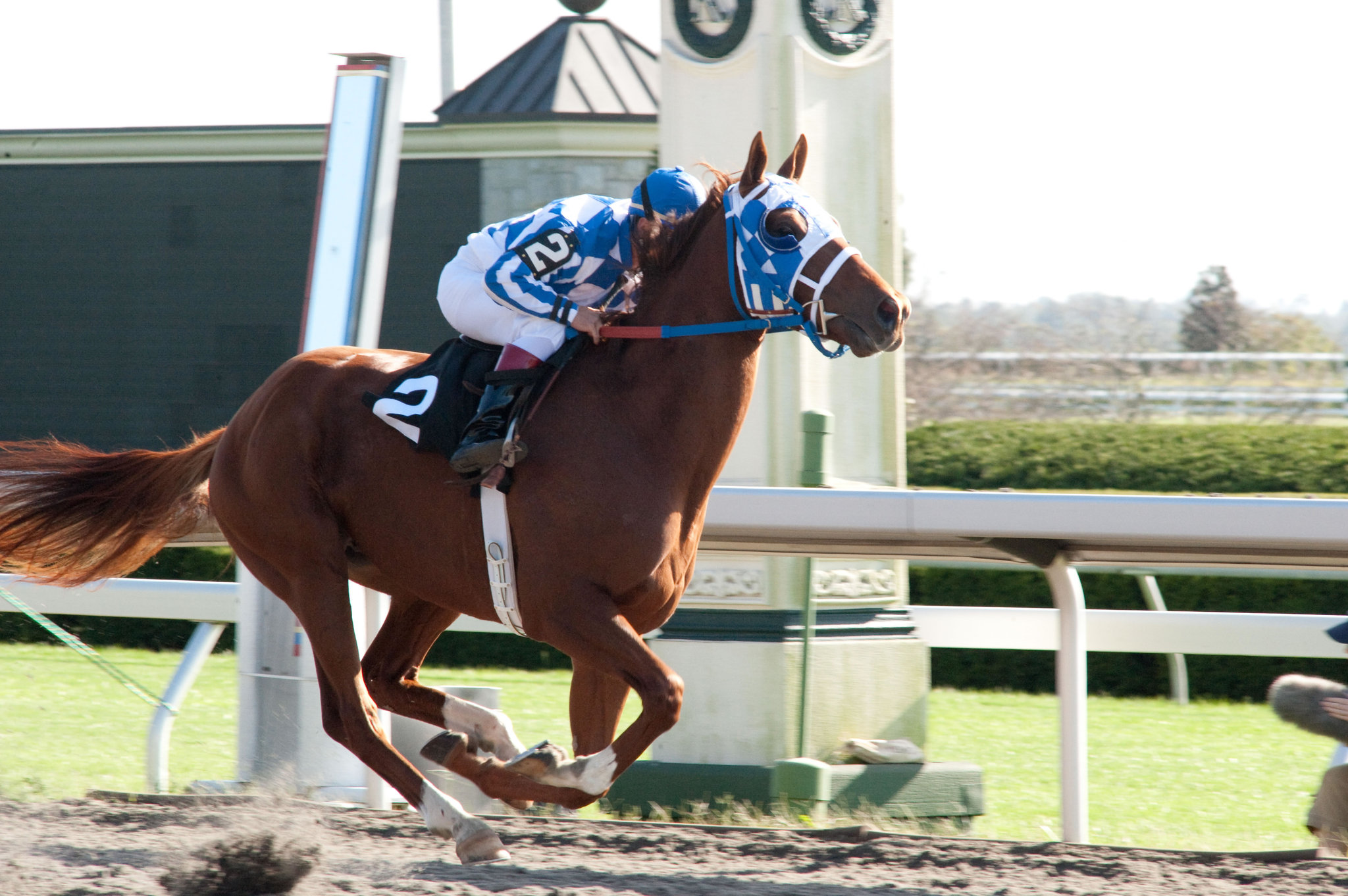 Still of Otto Thorwarth in Secretariat (2010)