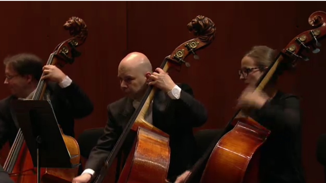 Opéra National de Paris, 2015. With Philippe Noharet & Amandine Dehant, doublebassists.