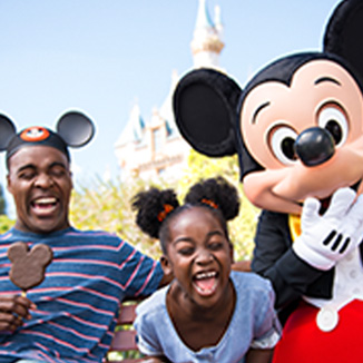 Disney Family Resolutions 2014