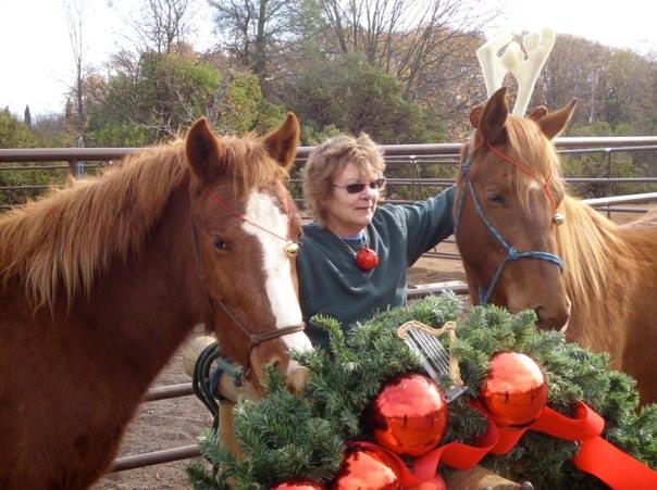 My rescue babies - Punkin (left) and Taos. Rescued from a Nevada feedlot at the age of three months, and now going through their saddle training. Love these two!