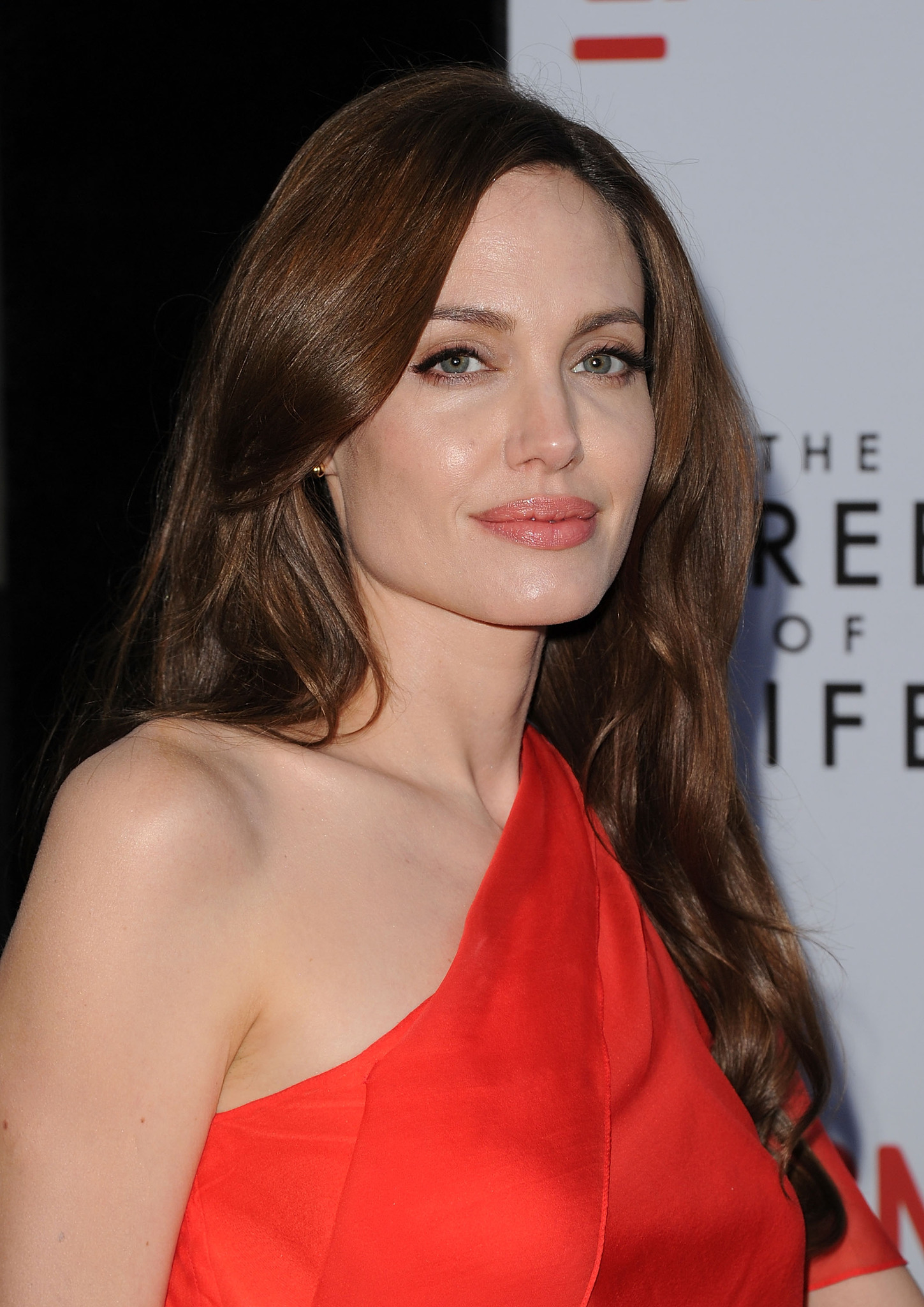 Angelina Jolie at event of The Tree of Life (2011)