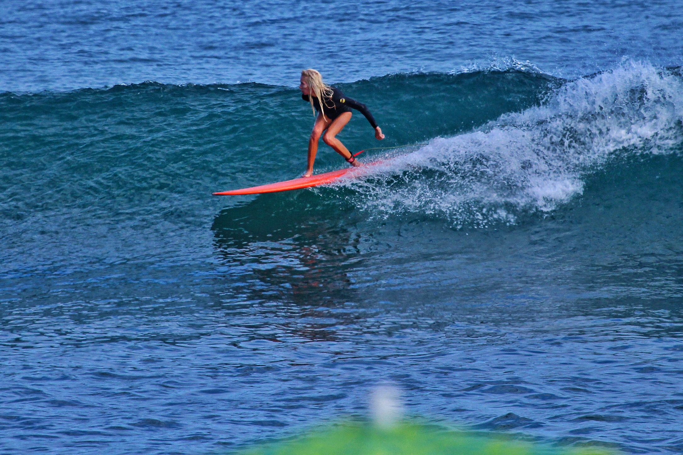 Riding an 8'1 Temble Mini Nose Rider at my home surf spot Malibu 1st Pt.