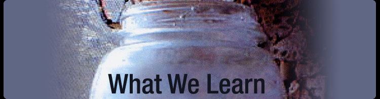 What We Learn (2001)