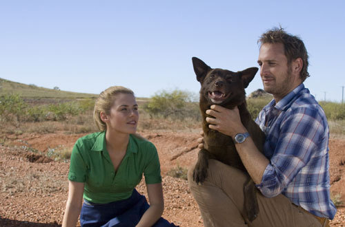 Still of Josh Lucas, Rachael Taylor and Koko in Red Dog (2011)