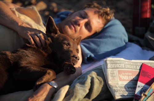 Still of Josh Lucas and Koko in Red Dog (2011)