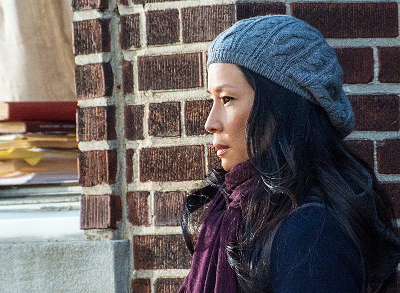 Still of Lucy Liu in Elementaru (2012)