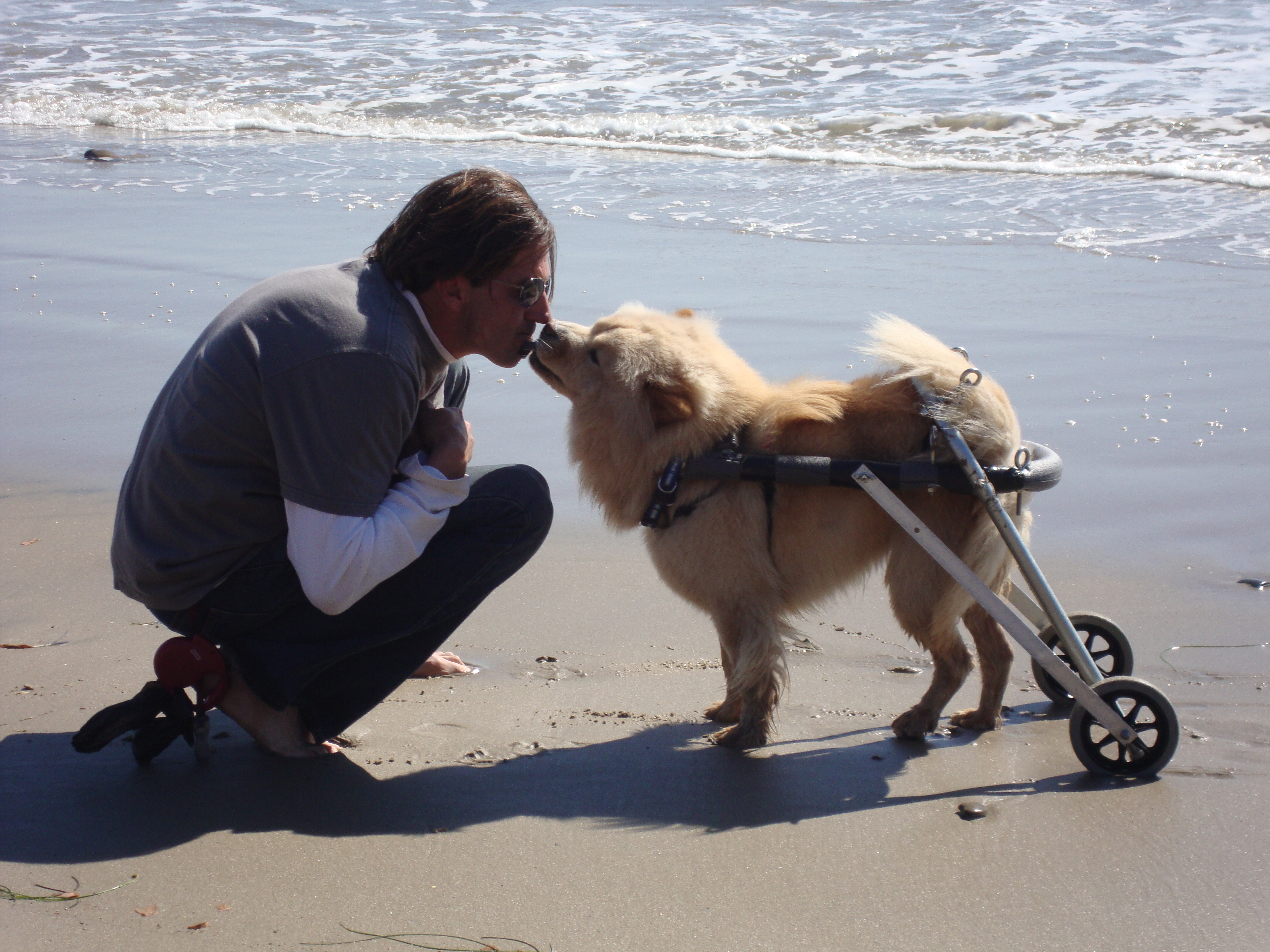 Cinnamon w/her wheelchair an me at Dog Beach,Ca....(after car accident)