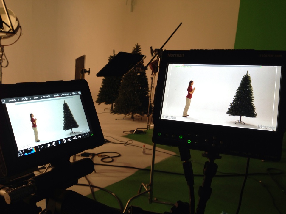 On set of fake Christmas tree commercial.