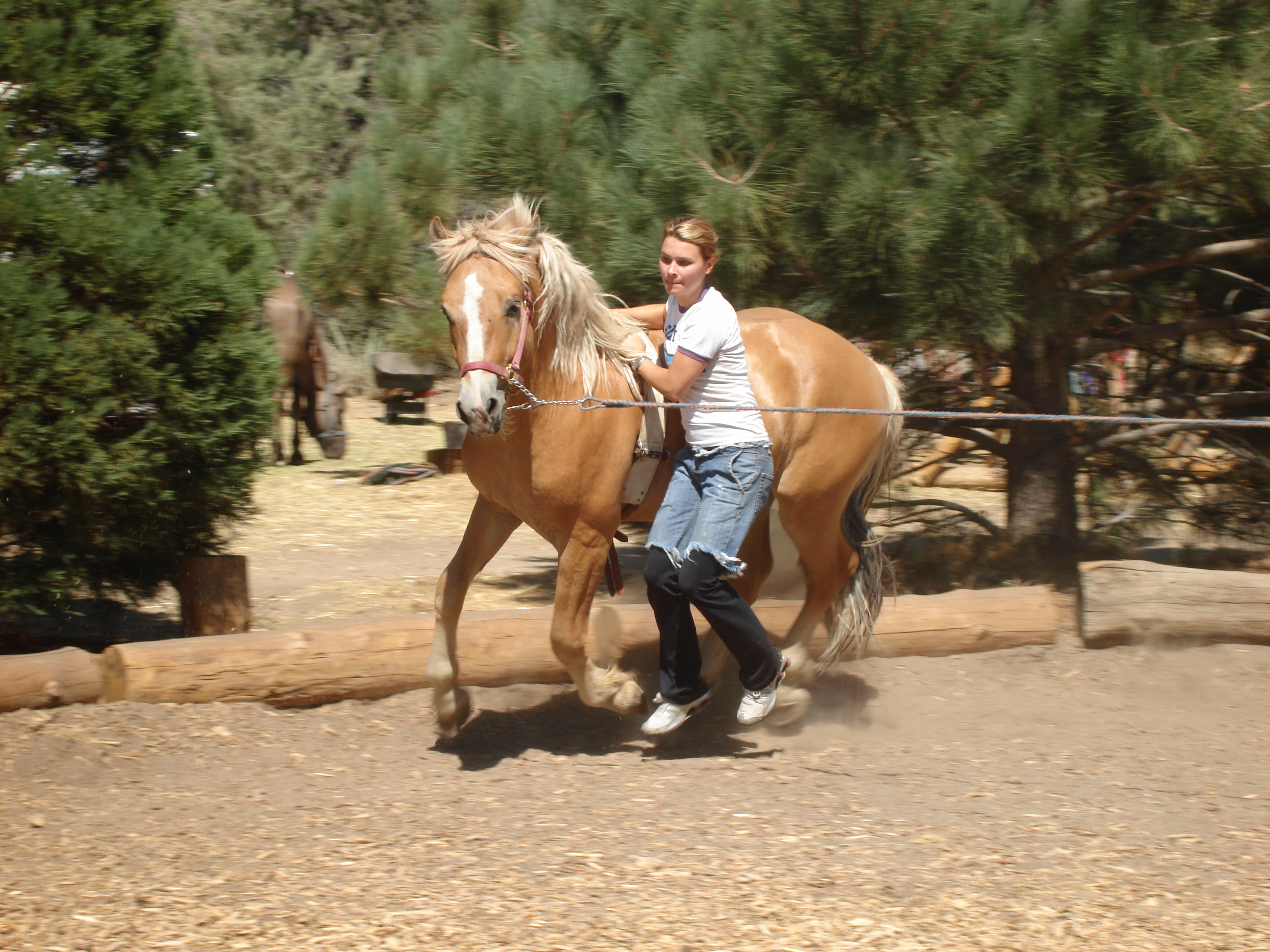 Kristina doing stunt work with horses