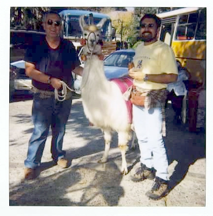 Victor and Marco and llama in Chile