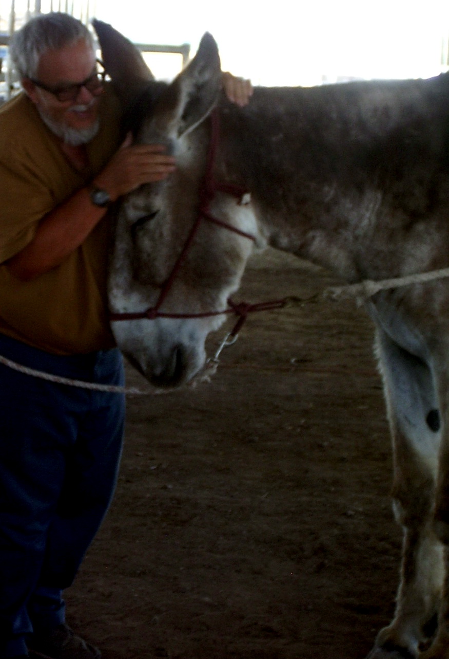 My burro amigo, 