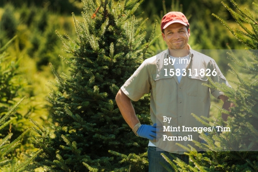 http://www.gettyimages.com/detail/photo/man-wearing-protective-gloves-clipping-and-pruning-royalty-free-image/158311826