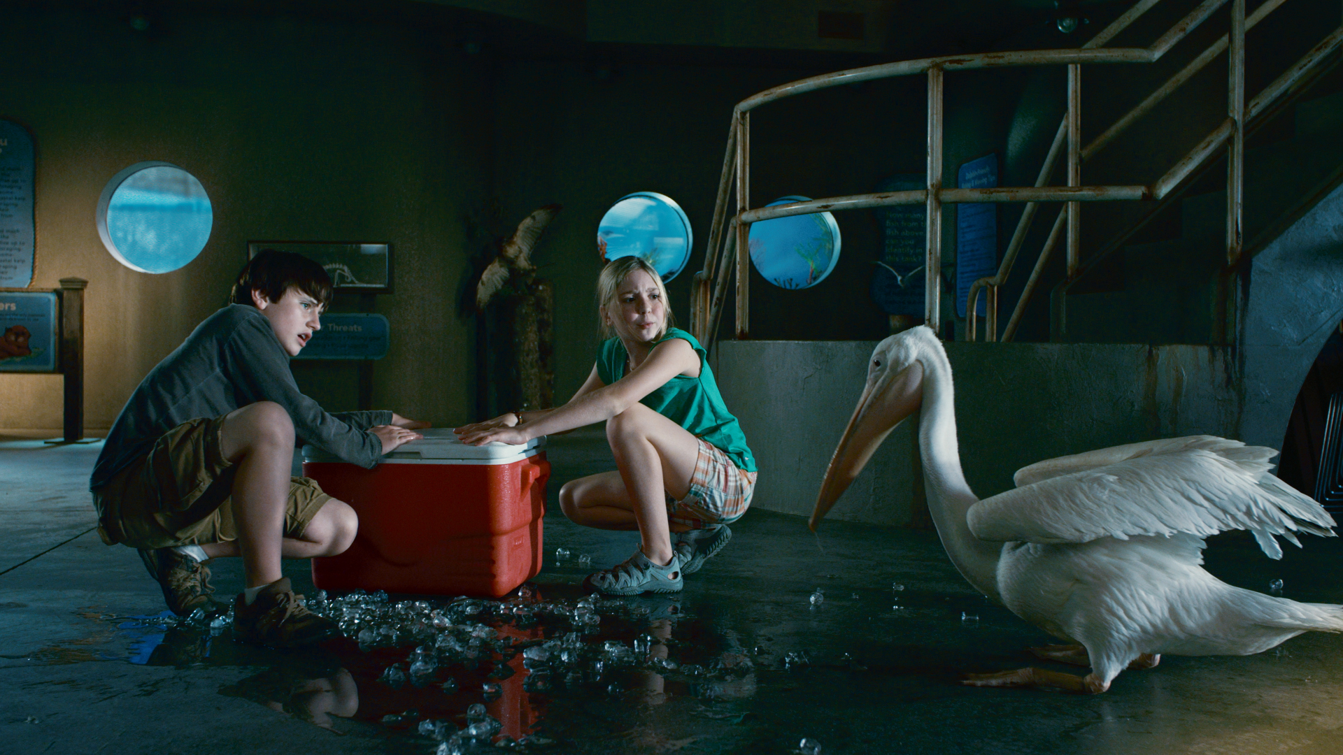 Still of Nathan Gamble and Cozi Zuehlsdorff in Dolphin Tale (2011)