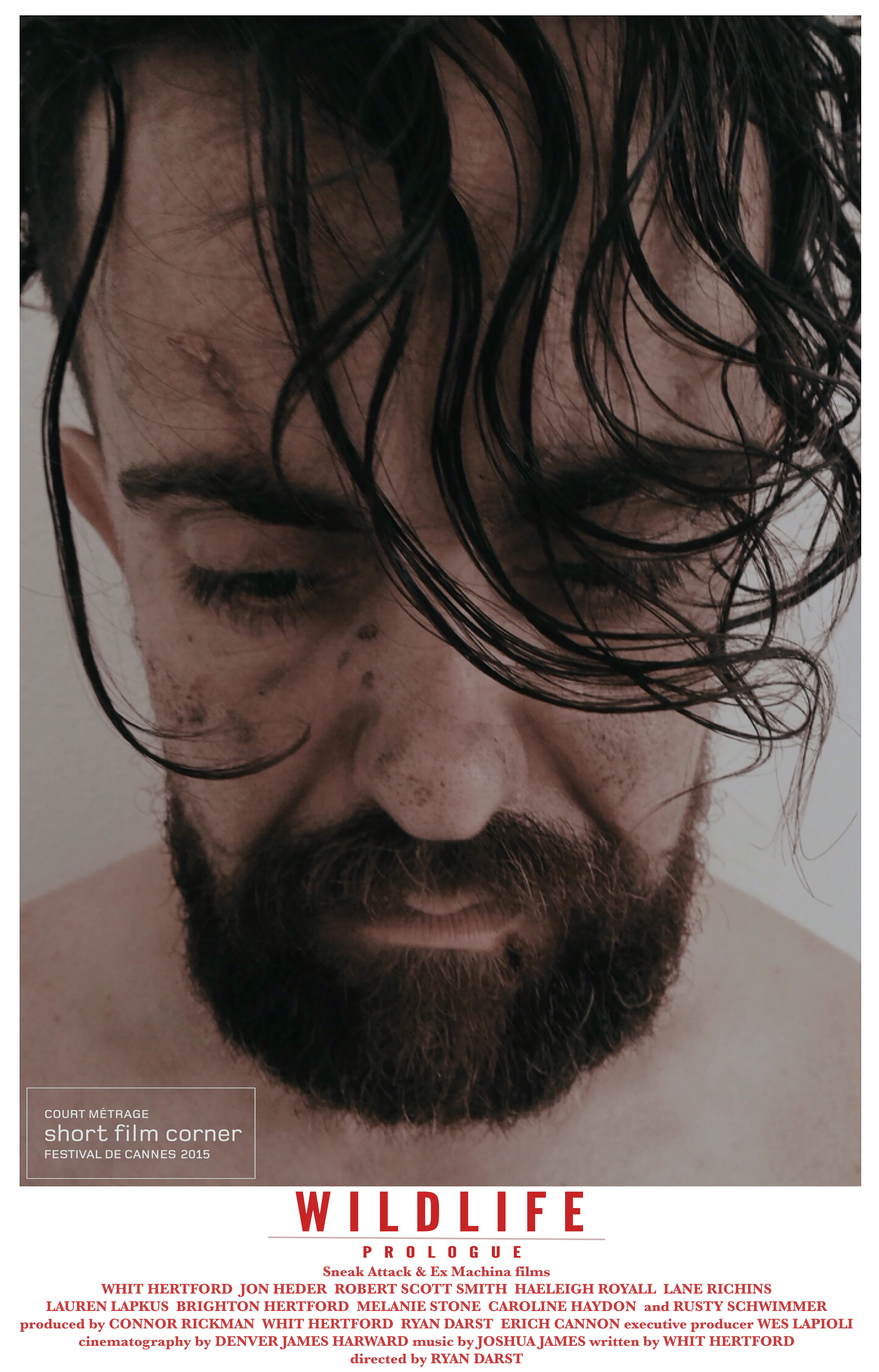 Official Festival De Cannes 2015 poster