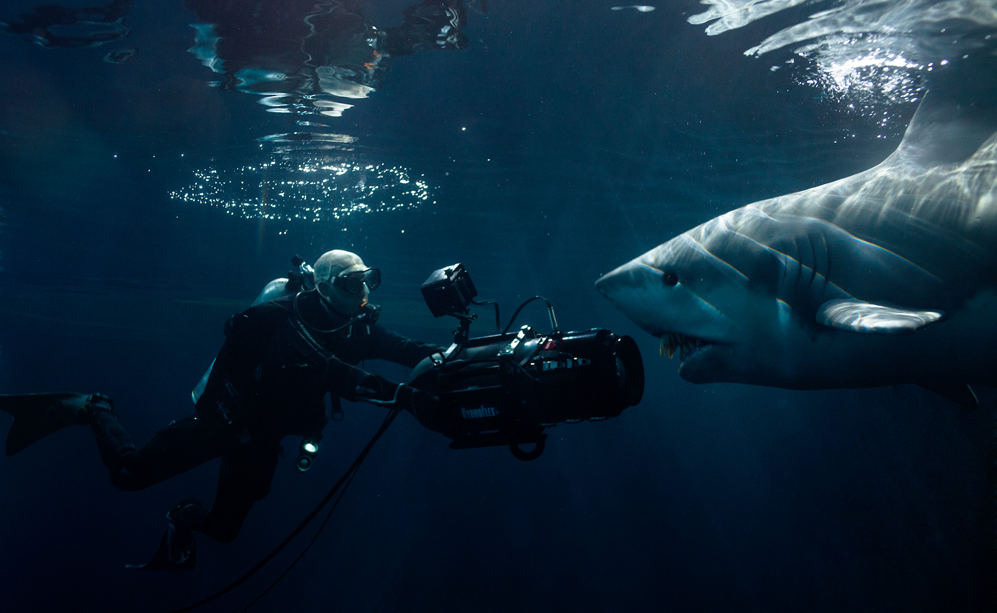 Teddy Smith films underwater for Shark Lake.