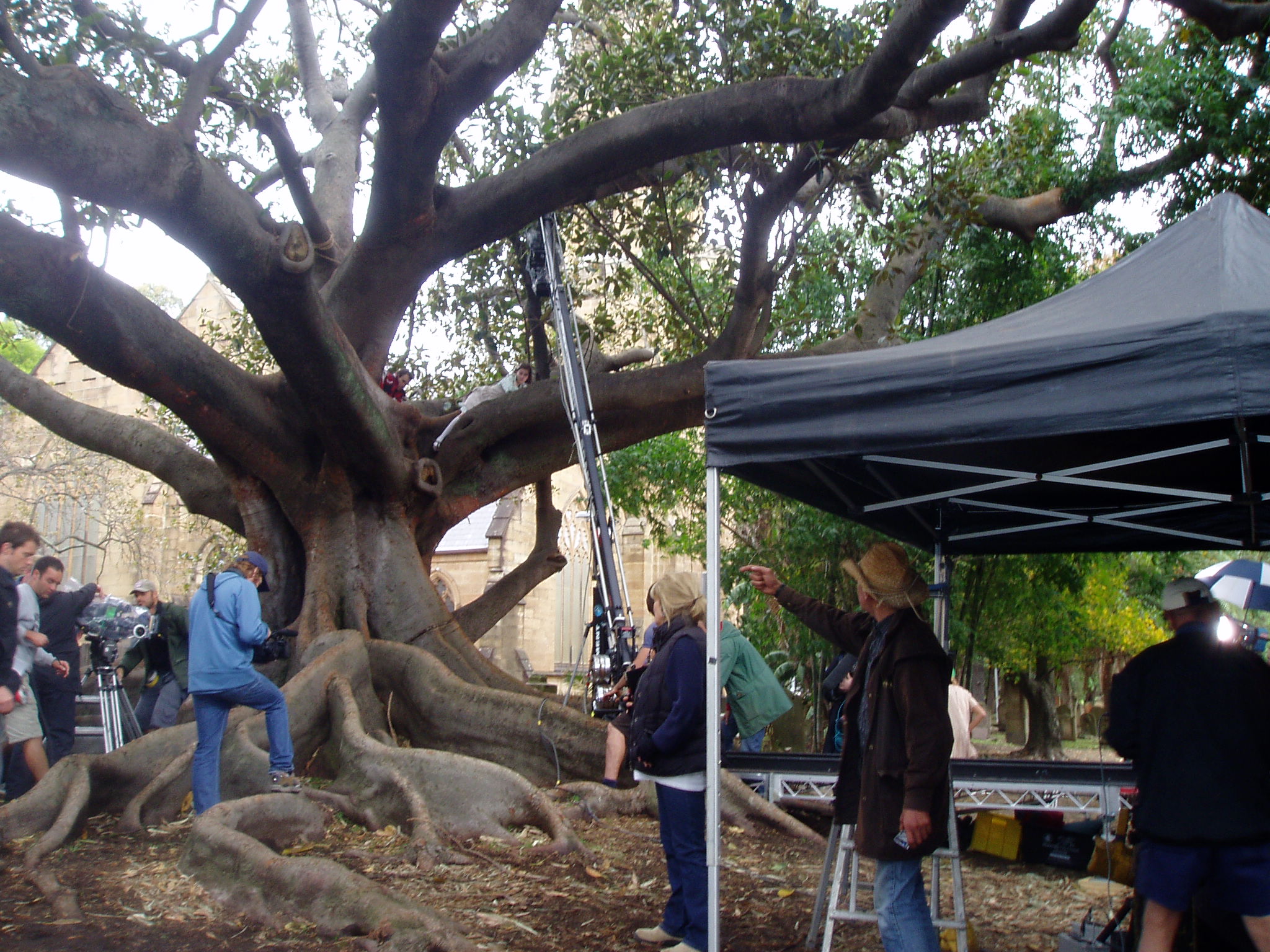 Holly (Bridie - 1928) in the tree on set of My Place, 2009