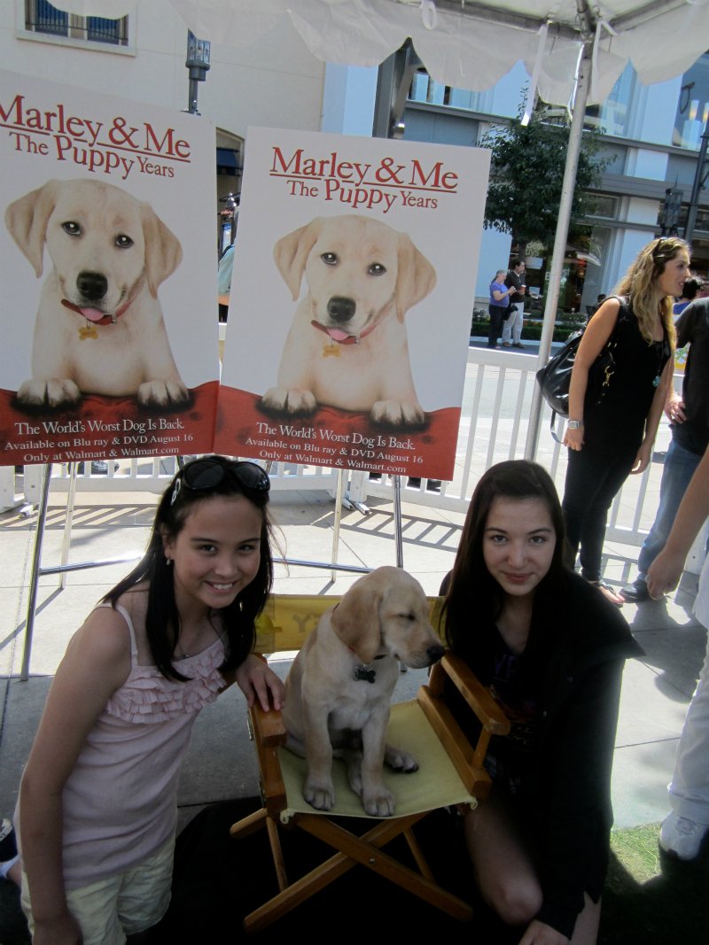 At the Marley and Me The Puppy Years Premiere with puppy MARLEY, actresses Luisa Lavoie and Lauren Lavoie