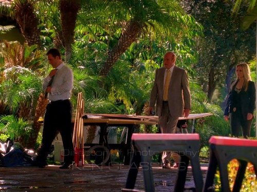 Still of Rex Linn, Emily Procter and James Patrick Stuart in CSI Majamis (2002)