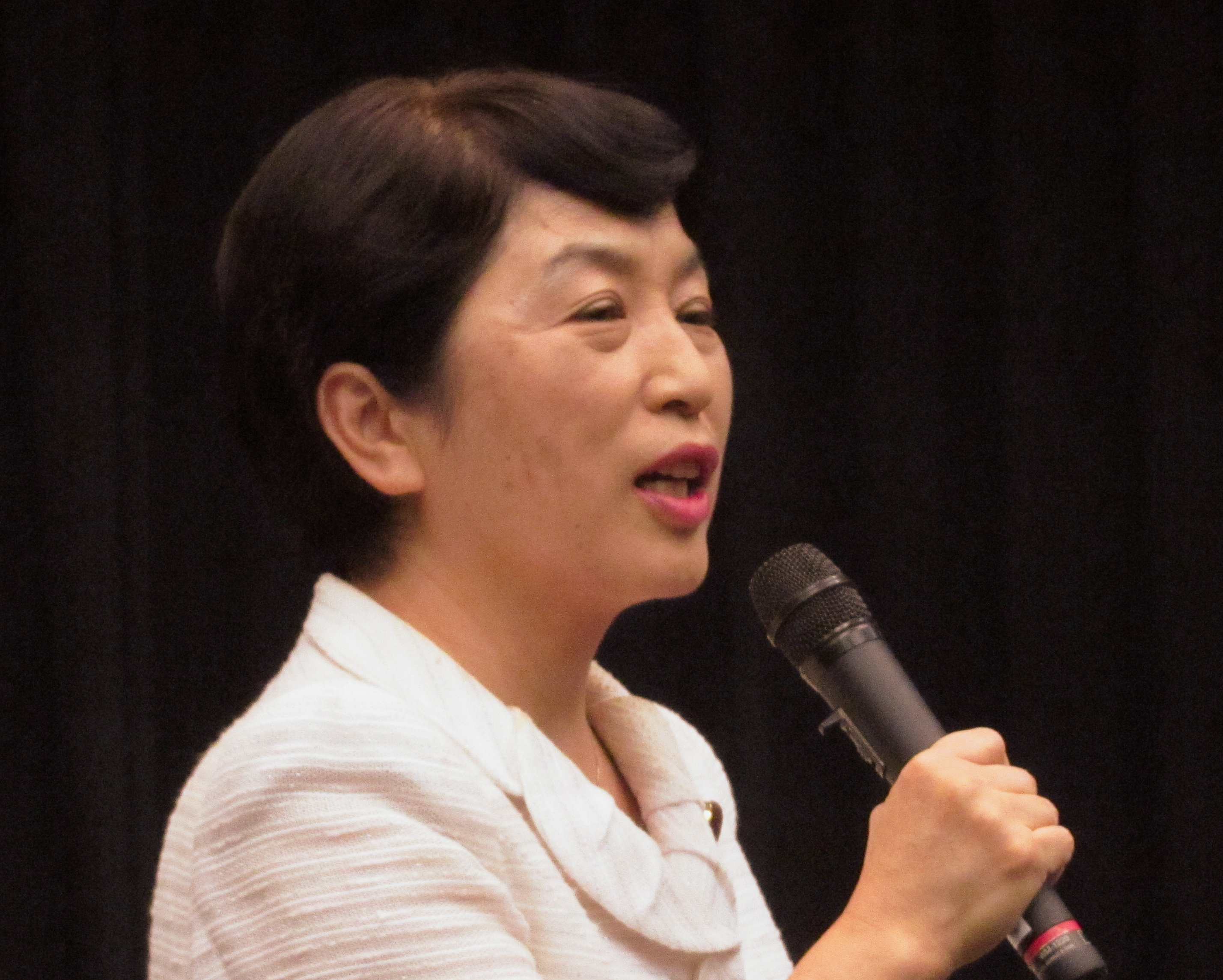 Mizuho Fukushima is a Japanese politician, and she is mostly known for being Minister of State for Consumer Affairs and Food Safety, Social Affairs, and Gender Equality in Prime Minister Yukio Hatoyama's cabinet since 2009 to 2010. This is a photo which taken at the House of Councillors on September 19, 2014 in Japan. Photographed and edited by the Japanese filmmaker, Corman Award Winner Ryota Nakanishi who is the professional film editor of the 2013 Amazon and Oricon bestseller Japanese film Rakugo-Eiga.