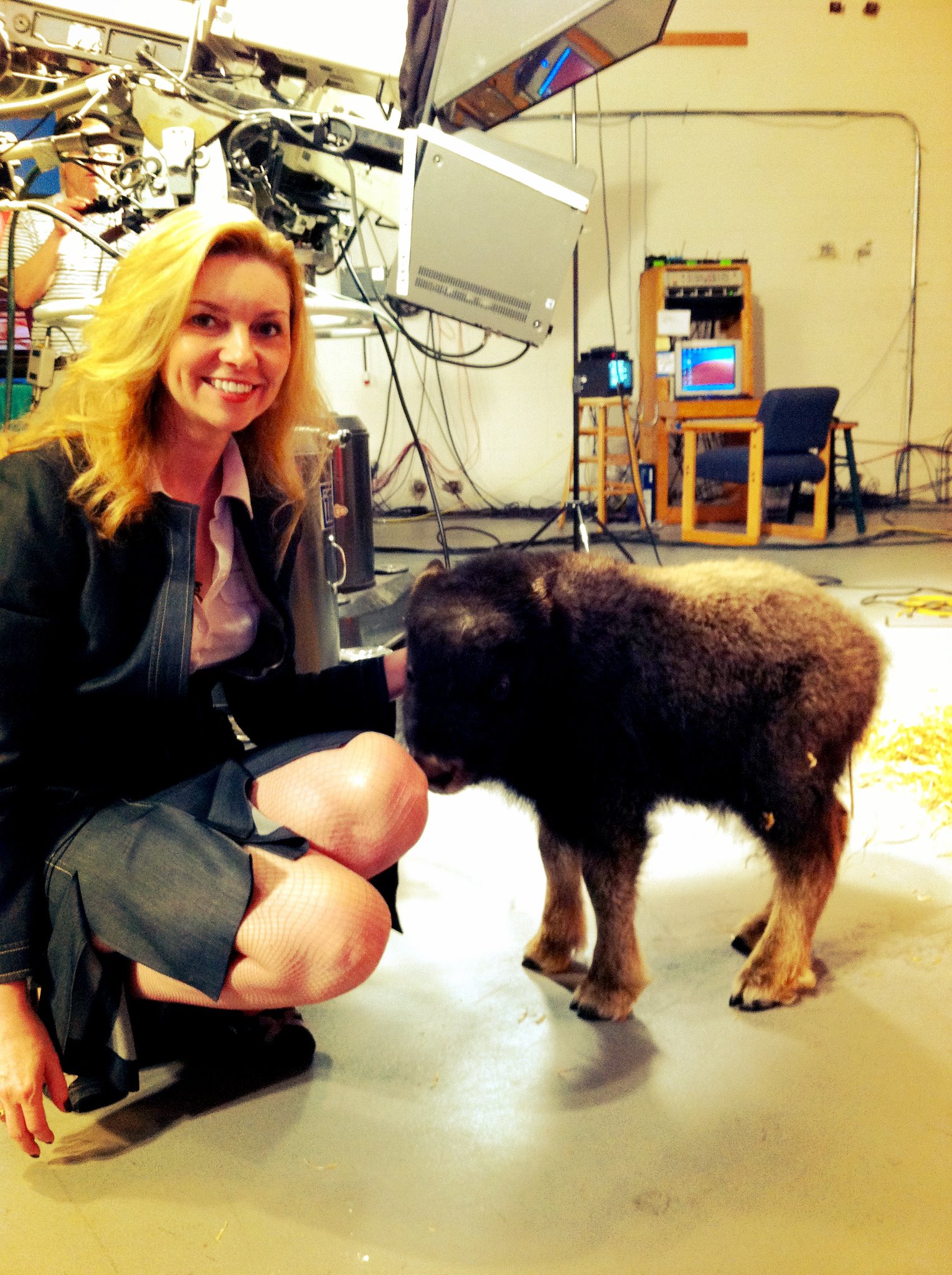 Works well with animals, even the small fuzzy ones. In this case, a three week old musk ox.