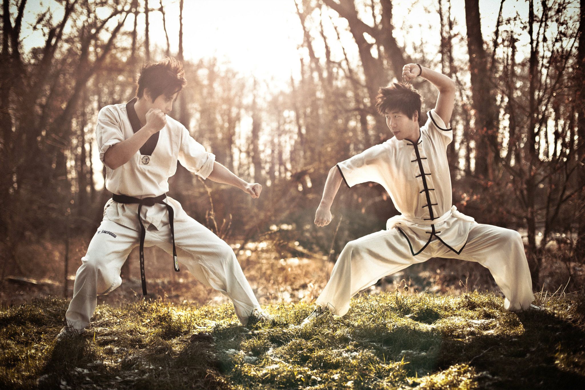 Wushu vs Taekwondo